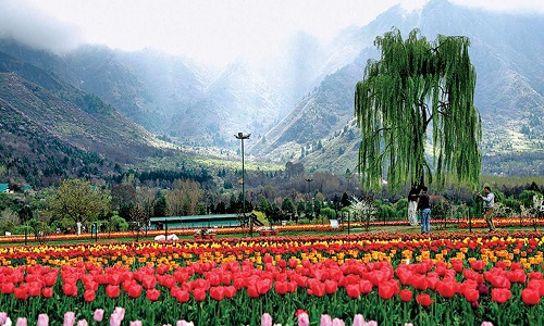 Book Your Kashmir Valentine Day Tour